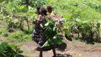 Fiji’s tourism tax policy sparks controversy