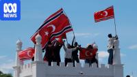 'Avengers' and 'white flags': How Indonesians are voicing dissent against the government