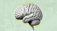 Oxytocin: The Complex Science of the “Love Hormone”