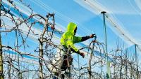 Pacific workers’ complaints put labour mobility protections under scrutiny