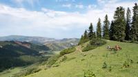 The striking Silk Road country with crowd-free hikes and yurt camps
