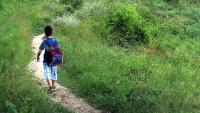 North Macedonia Sees Drop in New School Pupils amid Demographic Woes