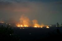 Lebanon accuses Israel of burning forest, farmland in south