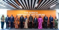 Africa must take charge of its development — Vice-President