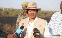 MPs want government to ring-fence tourism revenue for wildlife victims