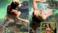 Hilarious moment influencer in tiny bikini is bitten on her BUM while swimming with turtles during holiday