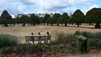 As climate warms, England’s historic gardens struggle to survive