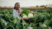 Africa must unlock the capital beneath its farmers’ feet