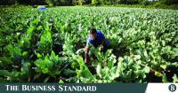 Fertiliser shortage: First phase of a looming crisis?