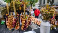 9 of the Best Harvest Festivals in Europe