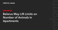 Belarus May Lift Limits on Number of Animals in Apartments