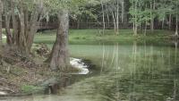 Florida's Poe Springs stops flowing as daily rain can't offset drought and pumping