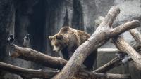 Budapest Zoo to Host 15th Night of Zoos with Special Programmes