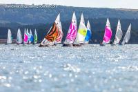 Poole Week 2026 Day 3