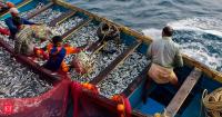 India, Seychelles agree to deepen cooperation in fisheries and blue economy