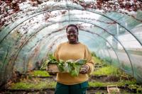 ANALYSIS | Africa must unlock the capital beneath its farmers’ feet