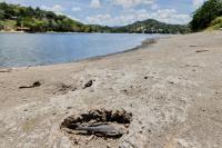 US declares drought disaster for parts of Puerto Rico as dry conditions persist