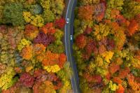West Virginia vacation guide wins national award after 350,000 copies distributed
