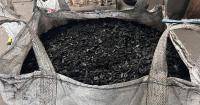 In Rajasthan, invasive tree helps tech giants buy carbon credits