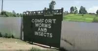 Kenyan farmers use fertiliser made by bugs to reverse soil degradation