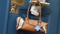 Longchamp’s Bag: Thriving in a Contracting Luxury Landscape