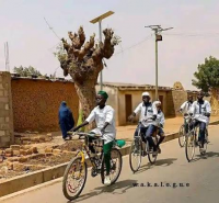 Bicycle still pedals strong in Kano in spite of modern transport boom 