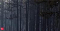 Why are some mountain trees moving downhill as the planet warms? Scientists may have an answer