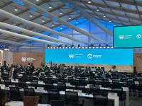 ANALYSIS: COP17: Top issues dividing, shaping ongoing negotiations in Mongolia