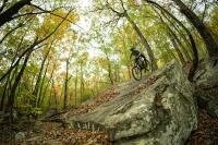 The 8 Years of Invisible Trail Work Behind Walden’s Ridge in Chattanooga, Tennessee