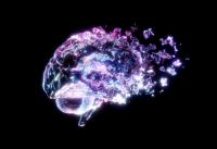 Controversial Alzheimer’s surgery is said to reverse symptoms. Here’s what scientists say