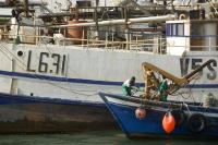 Global nutrient imbalance linked to industry exporting local catch from Africa