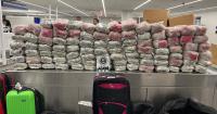 Over 1,000 pounds of khat seized in Chicago, 3 arrested