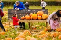 Europe’s largest pumpkin festival returns to Sussex's Tulleys Farm