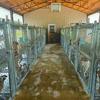 Introduction of Beau’s Law could see Lawrence County Animal Shelter’s population spike