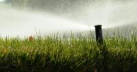 Denver Water banning all lawn watering starting Oct. 1 as drought restrictions tighten