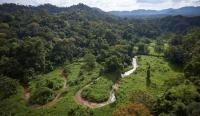 Global maps reveal the expansion of hunting in tropical forests and its effects on biodiversity