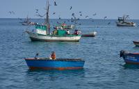 FiTI, Coalition for Fisheries Transparency applaud international transparency initiatives but stress hard work lies ahead