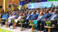 African health ministers consider four draft resolutions in Ethiopia