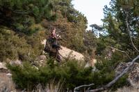 I Was Convicted of Trespassing After Covering Public Land Access Issues on Our Controversial Wyoming Elk Hunt