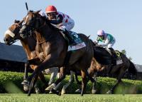 Six Speedy Fillies For The Week Of Aug. 17-23