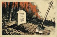 To fight wildfires and climate change, scientists say: Don’t burn debris, bury it.