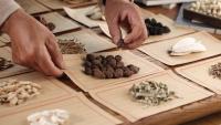 Herbs, spiritual practices, and psychedelics: what a huge new survey found about aging and alternative medicine