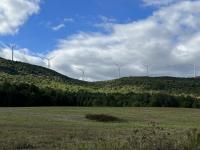 Maine selects company to build large wind farm, plus a transmission line, to send power south