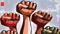 NGO demands uniform security gates across Panchkula