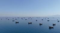Iran, Oman still negotiating Hormuz deal as Qatar joins mediation