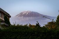 Tanzania’s uranium cycle takes shape: What is happening in the industry in 2026
