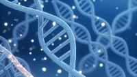 2.8M affected in Baylor Genetics breach involving medical data