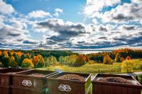 September in Northern Michigan: a lively lineup of events