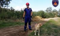 The four-legged heroes helping Cyprus firefighters save lives