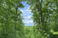 New Hampshire is one of a kind — and that cuts both ways